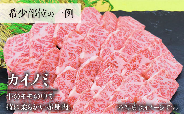 ＜6回定期便＞佐賀牛希少部位含む～ひとり贅沢焼肉コース～ ランプ/クリ/トウガラシ/ザブトン/カイノミなど【ミートフーズ華松】 [FAY072]