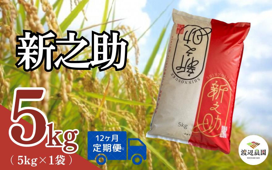 
            【令和6年産新米】〈12回定期便〉渡辺農園の新之助5kg (5kg×1袋) 新潟県 五泉市 渡辺農園 [10月中旬以降順次発送]
          