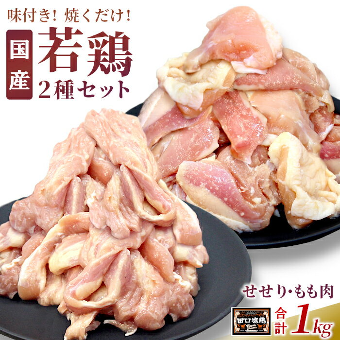 【ふるさと納税】田口塩鶏 国産 若鶏味付け肉 2種セット（せせり・もも肉）合計1kg もも肉 600g せせり 400g 塩ダレ 味付け肉 鶏肉 鶏 肉 キャンプ バーベキュー 味付け肉 大容量 手軽 焼くだけ 地鶏 焼肉 焼き鳥 奥三河どり 10000円 10,000円 10000 -171