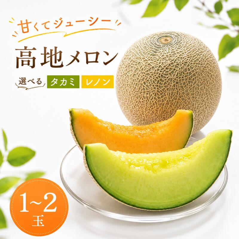 【ふるさと納税】 メロン 先行予約 1玉 2玉 選べる品種 赤肉 青肉 化粧箱 徳島県産 フルーツ 果物 旬 季節 厳選 高級 人気 デザート ギフト プレゼント 贈答 送料無料 レノンウェーブ タカミ ナポリ 赤肉メロン 青肉メロン 徳島県 三好市 みよし 三好野呂内野菜生産加工組合