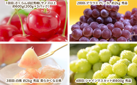 【定期便4回】やまがた 盛夏フルーツ定期便 【令和8年産先行予約】 FS25-660 くだもの 果物 フルーツ 山形 山形県 山形市 2026年産