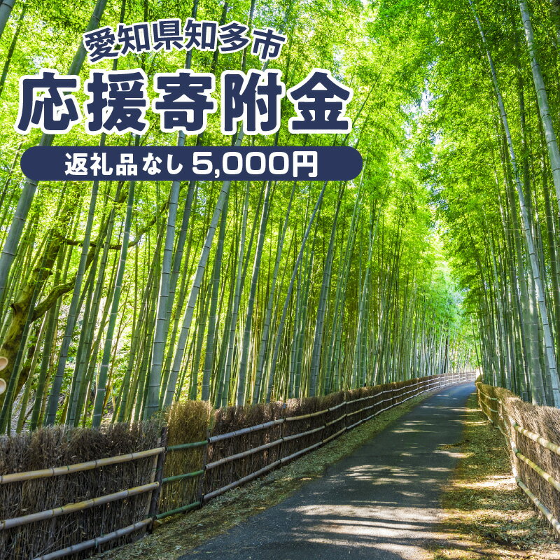 【ふるさと納税】No.142 知多市への寄付 （返礼品はありません） 返礼品なし 1口 5000円 ／ 支援 愛知県