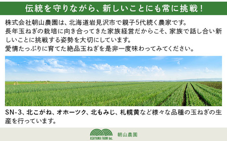 【先行予約】畑から 直送 の 新鮮野菜!玉ねぎ(オホーツク222) 5kg [a168-004] たまねぎ 玉葱 タマネギ国産 産地直送 まとめ買い 業務用 贈り物 甘い 野菜 シャキシャキ 美味しい