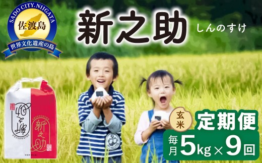 【9か月定期便 新之助】佐渡島産 新之助 玄米 合計45kg（5kg×毎月お届け全9回）令和8年産 新米 単一原料米 | 新潟県産新之助 新潟産新之助 佐渡産新之助 しんのすけ 新之助 お米 米 玄米 げんまい 水稲うるち玄米 ブランド米 おこめ コメ 5キロ 世界農業遺産 にいがた さど 新潟県 佐渡市