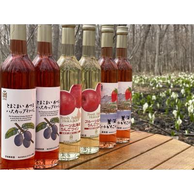 ふるさと納税 七飯町 ななえ フルーツワイン便り |  | 02