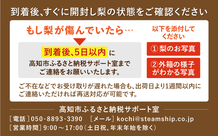 【先行予約】 新高梨 約3kg（4～5玉） 〈2025年9月20日～10月末発送〉 / 高知 針木 新高梨 梨 和梨 果物 フルーツ デザート 【川渕果樹園】 [ATHX002]