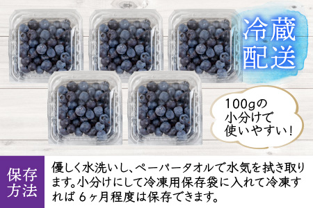 【先行予約】摘みたて直送！越前大野産ブルーベリー100g×5パック 計500g【2025年7月下旬から順次発送】