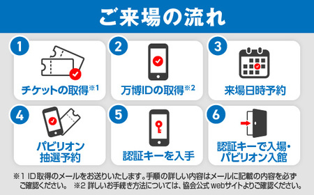 No.163 2025年日本国際博覧会入場チケット 平日券（大人）【島本町返礼品】