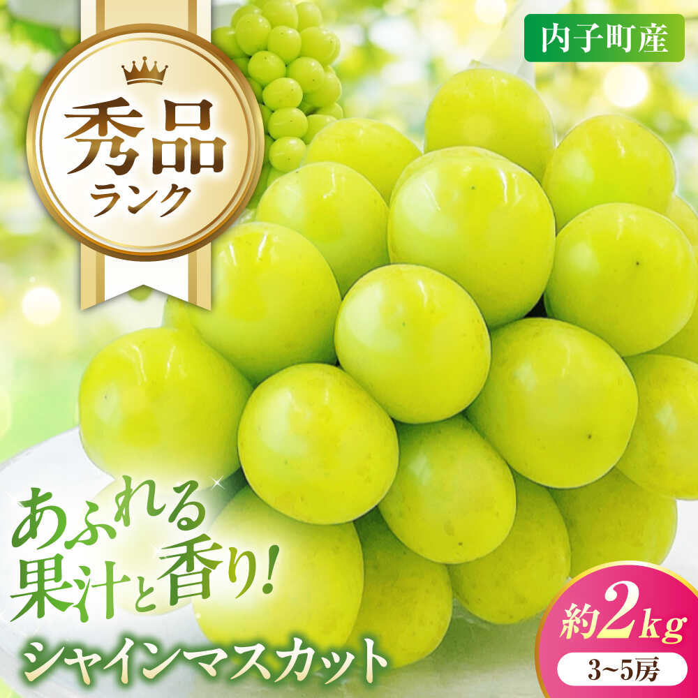 【ふるさと納税】【先行予約】シャインマスカット 秀品 3～5房 約2kg ＜2026年8月下旬～発送開始＞ ／ シャインマスカット 大人気 愛媛県 美味しい 人気 皮ごと 葡萄 ブドウ 愛媛県産 内子町産 新鮮 旬 フルーツ 果物 くだもの【株式会社フジ・アグリフーズ】 [BKAY005]