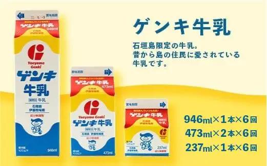 【定期便_6回】八重山ゲンキ乳業 オールスターセット　GN-2_6t