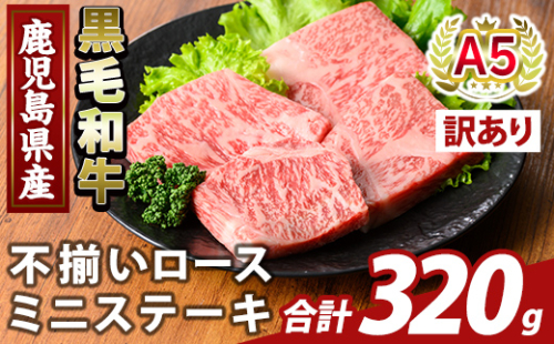 K-479-A ＜訳あり＞鹿児島県産A5等級黒毛和牛不揃いロースミニステーキ(計320g) 【KNOT】霧島市 牛肉 国産 鹿児島県産 赤身肉 不揃い ワケアリ ロース ステーキ 肉 精肉