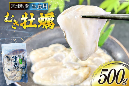 【期間限定発送】 宮城県産 むき牡蠣 生食用 500g×1p [及新 宮城県 南三陸町 30aw0004] かき カキ 牡蠣 生牡蠣 貝 魚介類 剥き身 むき身 殻なし 冷蔵 新鮮 なべ カキフライ 牡蠣ご飯 濃厚