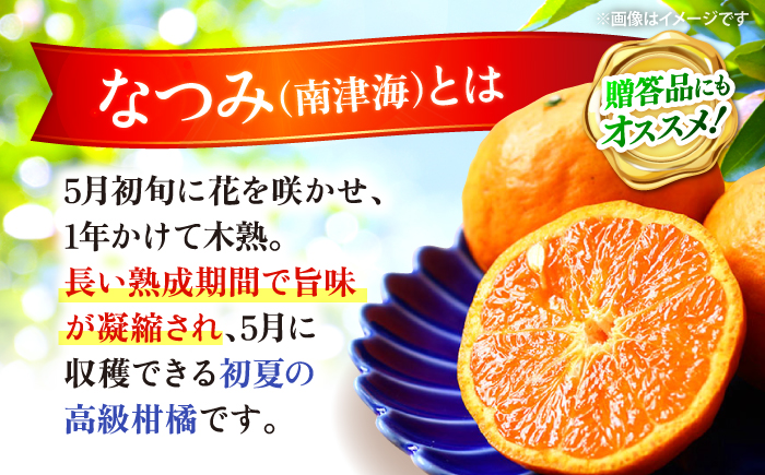 【☆先行予約☆】【数量限定】ハウス木成完熟 なつみ （ マンダリン ）約5kg＜原口果樹園＞ [CCW006] 長崎 西海 みかん ミカン 蜜柑 柑橘 5kg 贈答 ギフト 