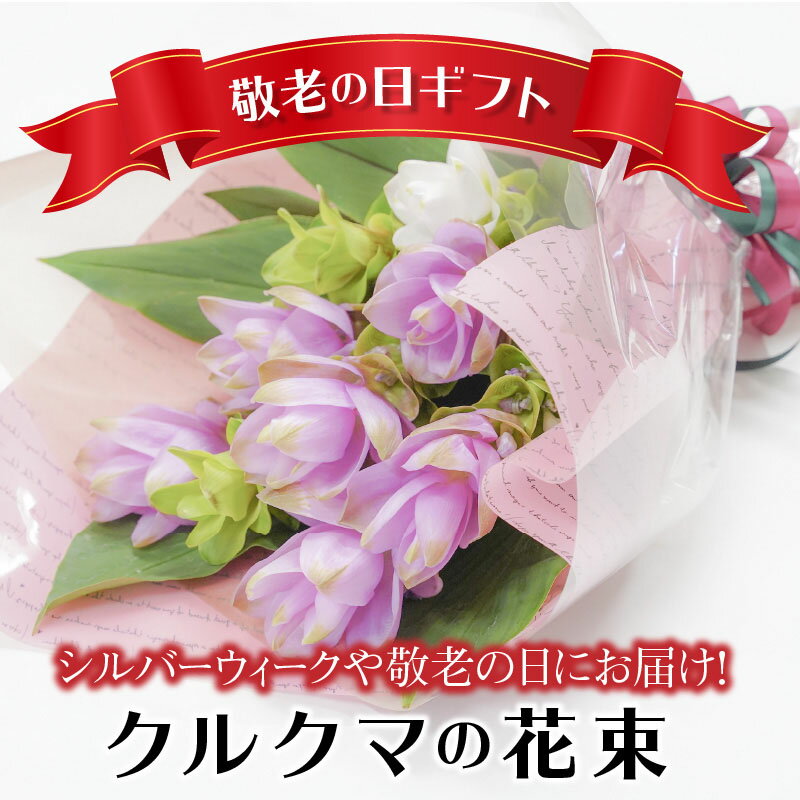 【ふるさと納税】【 2025年 敬老の日 】暑さに強い花　クルクマの花束 花 花束 ギフト プレゼント シルバーウィーク フラワーアレンジメント 送料無料