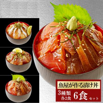 ふるさと納税 宇部市 【詰め合わせ】漬け丼 3種×2パック 計6食セット