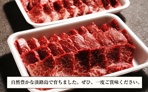 淡路牛 赤身焼肉セット 1kg（500g×2P) 【3D急速冷凍】 　　[焼肉 赤身 焼肉 赤身肉 焼肉セット 牛肉 焼肉]