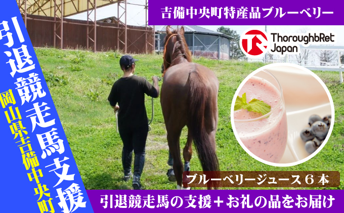 【引退競走馬支援!】岡山　吉備高原のブルーベリージュース【6本セット】