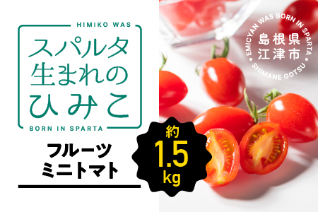 【先行予約】【2024年11月発送】 スパルタ生まれのひみこ ミニトマト 約1.5kg入り スパルタ生まれ ひみこ ミニトマト フルーツミニトマト