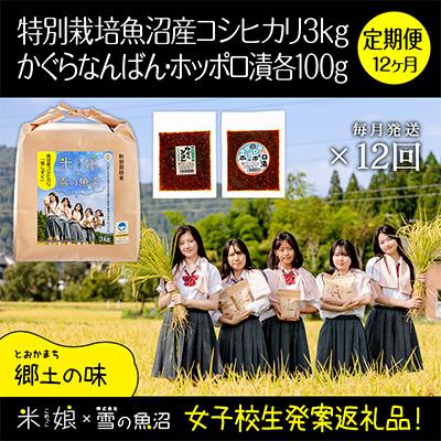 ふるさと納税 十日町市 【毎月定期便】女子高生×雪の魚沼!県認証特栽魚沼コシ3kg+みそ各1×12全12回