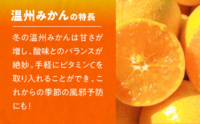 【先行予約】【12月上旬より順次発送】今が旬！ フルーツ セット （ 温州みかん グリーンキウイ 各2.5kg ）　果物 くだもの みかん キウイ キウイフルーツ 愛媛県大洲市/玉川農園 [AGBC0