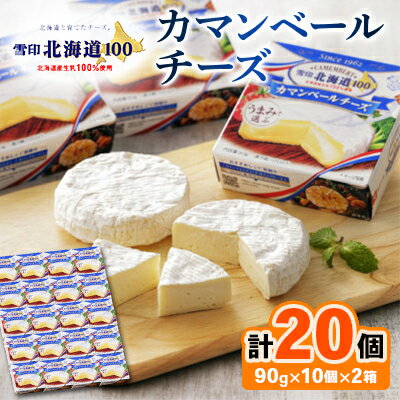 【ふるさと納税】雪印北海道 カマンベールチーズ 2箱(90g×20個入り)【配送不可地域：離島】【1538326】