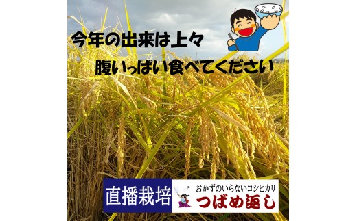 【令和8年産/毎月定期便】酒かす & 直播栽培 おかずのいらないコシヒカリ「つばめ返し」白米2kg 6か月定期便 FC044004【 コシヒカリ こしひかり 米 お米 新潟県 燕市 燕三条 】