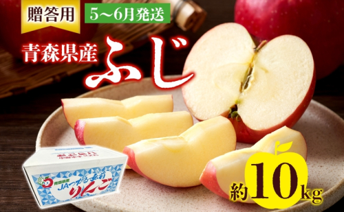 贈答用 ふじ 10kg ふじりんご りんご リンゴ 青森 林檎 果物 フルーツ くだもの お取り寄せ 贈り物 プレゼント 産地直送 有袋栽培 送料無料 青森県 西目屋村 お届け：5月下旬から随時お届け