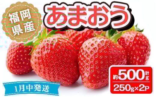 ＜先行予約受付中！先行予約受付中！2026年1月より順次発送予定＞福岡県産 あまおう(計約500g・250g×2P)いちご 苺 フルーツ 果物 くだもの 冷蔵 ＜離島配送不可＞【ksg1489】【エフビーネット】