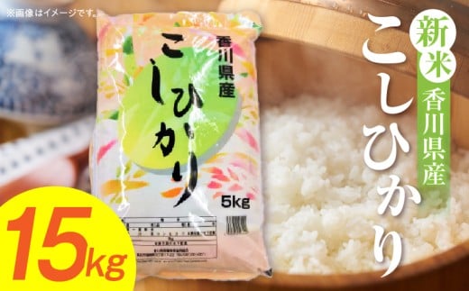 【令和7年産】香川県産こしひかり 15kg（紙袋配送）|新米 コシヒカリ こしひかり 15kg 米 白米 ごはん ご飯 朝食 白ご飯 おにぎり お弁当 おむすび お米 国産 美味しい ツヤ モチモチ 精米 おすすめ 香川県 三木町 |_mk132-110-03