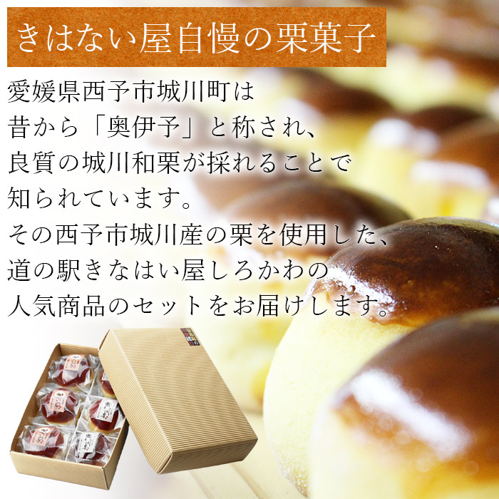 ＜栗まんじゅう2種セット「想い栗」と「想われ栗」 6個入り（各3個）＞お菓子 詰め合わせ 和菓子 くり マロン 和栗 お茶菓子 スイーツ 手土産 饅頭 白餡 渋皮煮 道の駅きなはい屋 城川ファクトリー