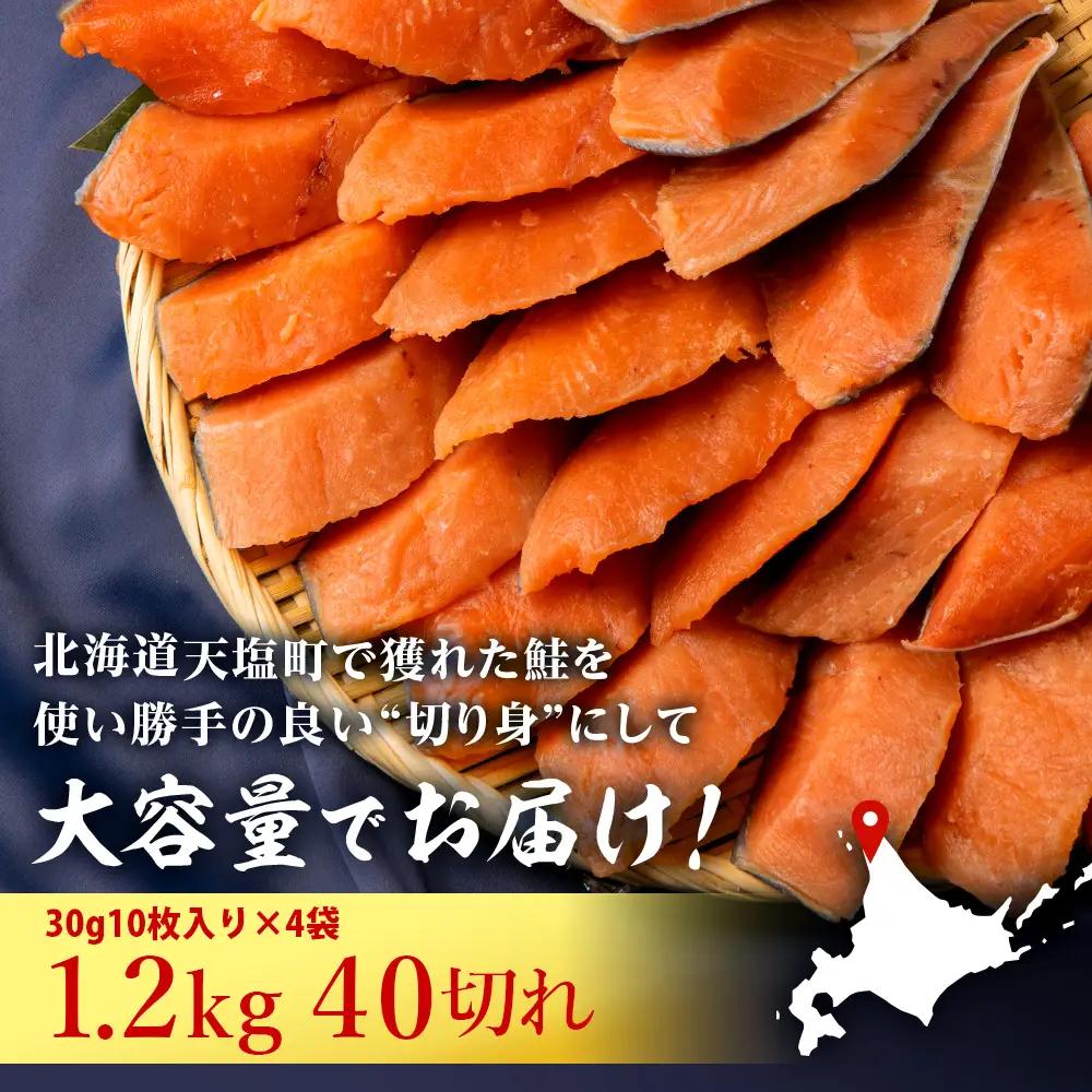 北海道産 鮭の切り身 30g10枚入×4袋〈北るもい漁業協同組合 天塩支所〉