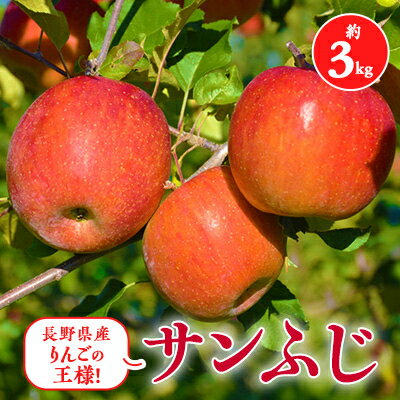 【ふるさと納税】2025年!信州のりんご【サンふじ】約3kg_ りんご サンふじ 林檎 リンゴ 長野県 信州産 ふじ ふじリンゴ さんふじ サンフジ 果物 くだもの フルーツ デザート 甘い 国産 産直 産地直送 贈答 ギフト プレゼント 送料無料 【1483023】