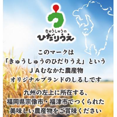 ふるさと納税 宗像市 新米先行受付!「ひのひかり」5kg【ほたるの里】_HA1786 |  | 02