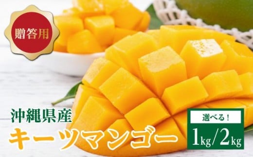 
            ＜選べる＞キーツマンゴー1kg/2kg  贈答用
          