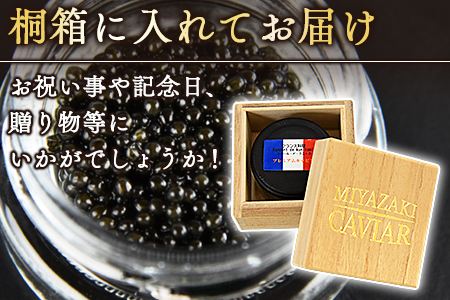 【贈答用】＜クニトミキャビア60g（10g×6）＞翌月末迄に順次出荷【 キャビア チョウザメ 魚介類 高級 プレゼント 世界三大珍味 】