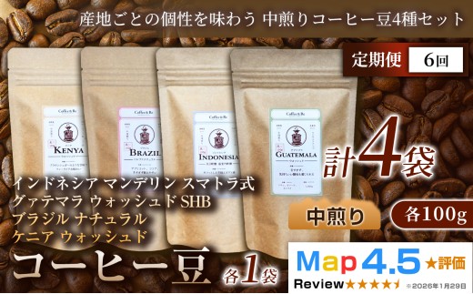 【定期便】【産地ごとの個性を味わう 中煎りコーヒー豆4種セット】(計100g×4袋)×1セット×全6回 コーヒー豆 エチオピア ジャマイカ ブラジル ナチュラル製法 コーヒー豆 コーヒー 焙煎 中深煎り 飲みやすい ご褒美 来客用 お取り寄せ ギフト 敬老の日 贈答 贈り物