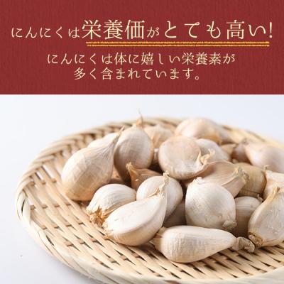 ふるさと納税 肝付町 【先行受付】學山堂のジャンボにんにく(計1.2kg)鹿児島 国産　A69003 |  | 02