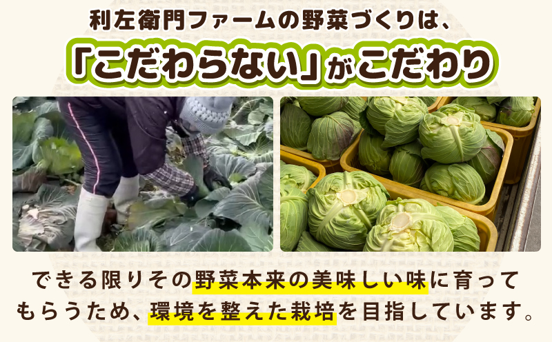 季節の野菜セット 2～7種類【国産 新鮮 おまかせ 詰め合わせ】 G3452