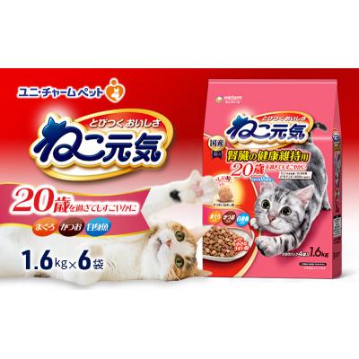 ふるさと納税 伊丹市 ねこ元気 20歳を過ぎてもすこやかに まぐろ・かつお・白身魚入り[54030478]