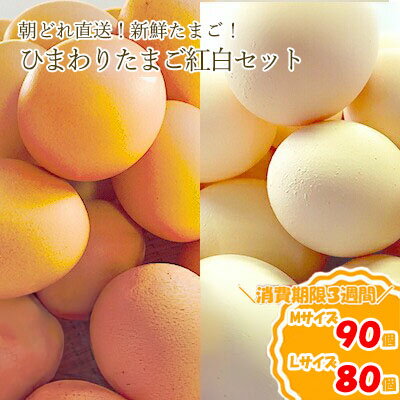 【ふるさと納税】ひまわりたまご紅白セット（2段）※破卵補償10個含（冷蔵） 卵 鶏卵 玉子