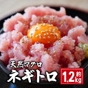 【ふるさと納税】 天然マグロ ネギトロ 約1.2kg 国産 まぐろ 鮪 刺身 赤身 肉 ビンチョウマグロ ビンチョウ メバチマグロ メバチ キハダマグロ キハダ ネギトロ ツナ 魚 海鮮 魚介類 おつまみ おかず 惣菜 お取り寄せ グルメ ギフト 贈答 送料無料 千葉県 銚子市 和田水産