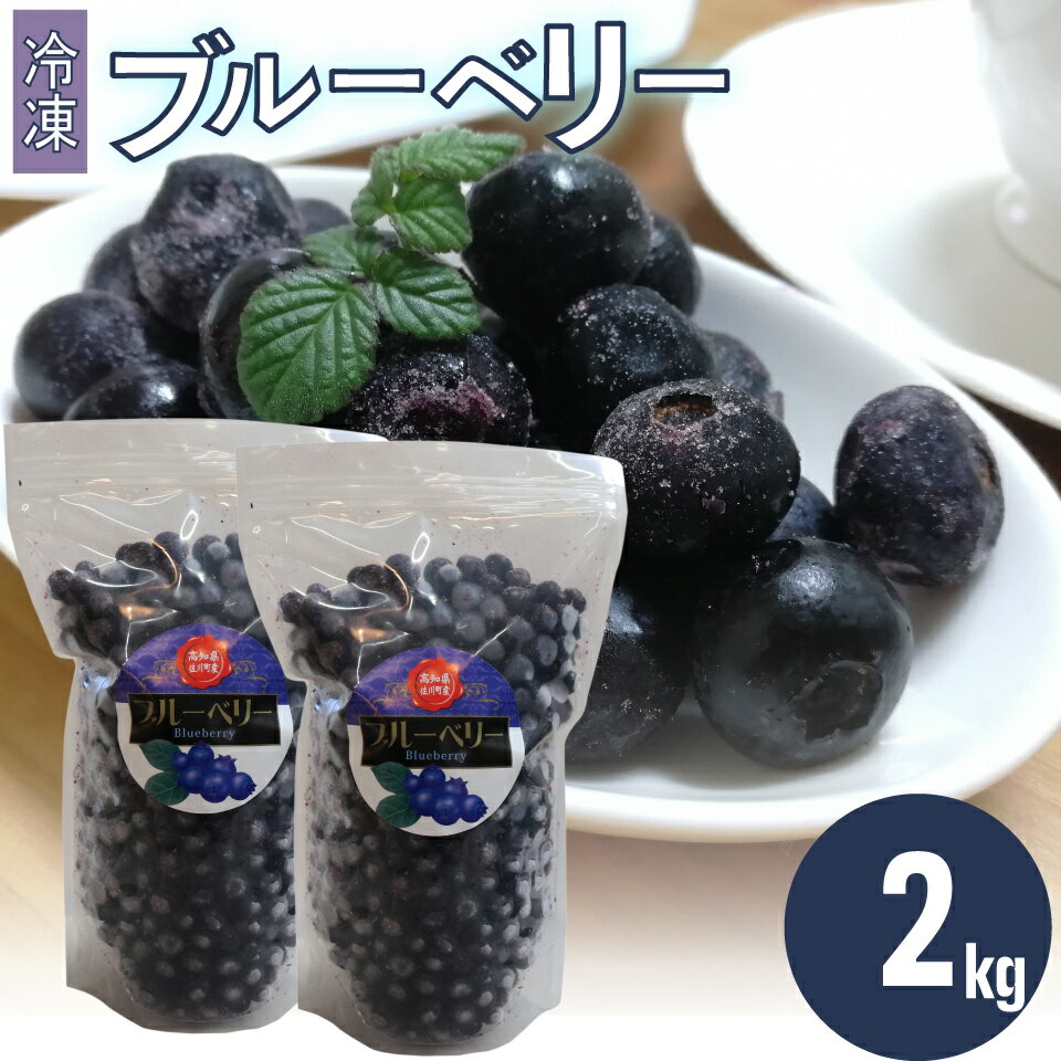 【ふるさと納税】＜ブルーベリー（冷凍） 2kg＞高知県 佐川町 果物 フルーツ 国産 【冷凍】冷凍ブルーベリー 常備果物　大容量　＜4～6ヶ月程度で発送予定（申込状況により遅れる場合があります）＞