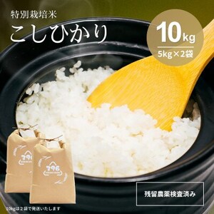 令和7年産　特別栽培米コシヒカリ　10kg(5kg×2袋)【1695258】