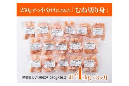 【定期便】宮崎県産 若鶏 むね 肉 切身 4kg(250g×16袋) 3ヶ月定期便【国産鶏肉 九州産鶏肉 鶏肉 肉 とり ムネ肉 小分け鶏肉 カット済み鶏肉 大容量鶏肉 全3回】