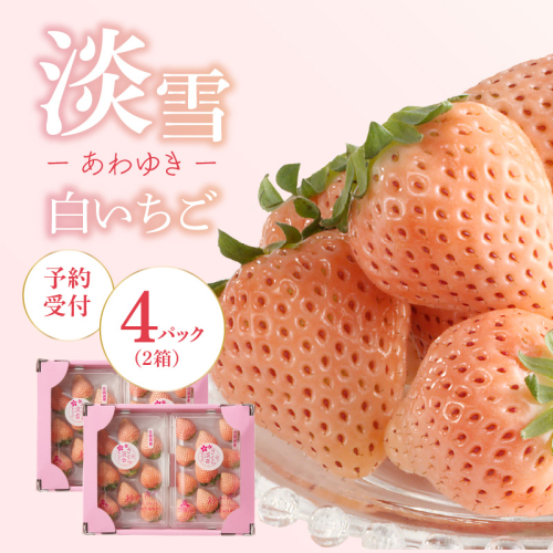 ★予約受付★杉山いちご農園 白いちご「淡雪（あわゆき）DX」2026年1月～4月中に順次配送