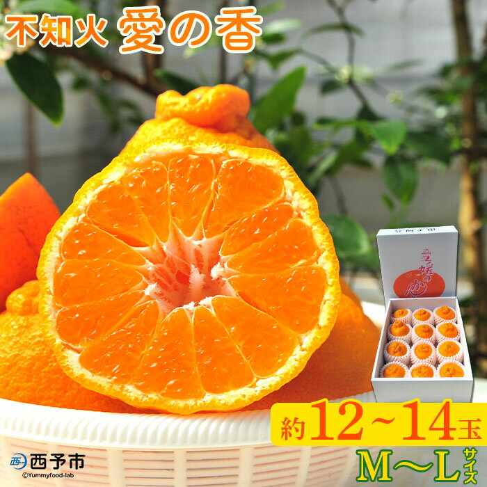 【ふるさと納税】先行予約＜不知火「愛の香」M～Lサイズ 約12～14玉＞ しらぬい みかん 甘い おいしい フルーツ 果物 柑橘 のし対応可 お祝い 御祝 内祝い ギフト 贈答 贈り物 南予園芸 特産品 食べて応援 愛媛県 西予市【常温】『2025年2月下旬～4月下旬迄に順次出荷予定』