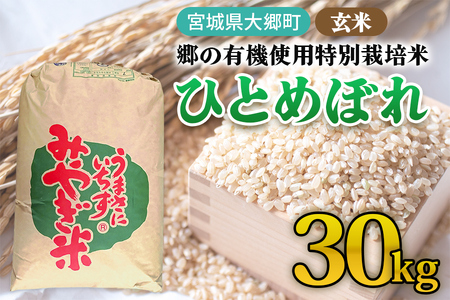 令和7年産 郷の有機使用特別栽培米 ひとめぼれ 玄米 30kg｜令和7年産 2025年産 お米 米 こめ 玄米 特栽米 宮城産 コメ [0296]