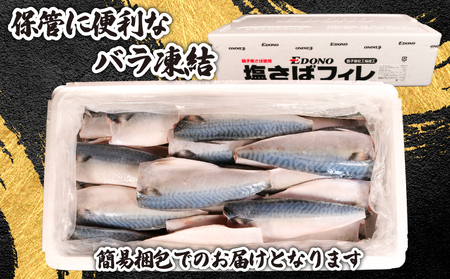 銚子産 塩さばフィレ 5kg