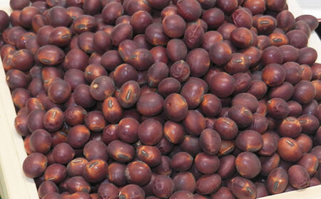 熊本県産 赤大豆（品種 ふくあかね）300g×6袋 【一般社団法人クラッシーノこうし】[AYAB048]