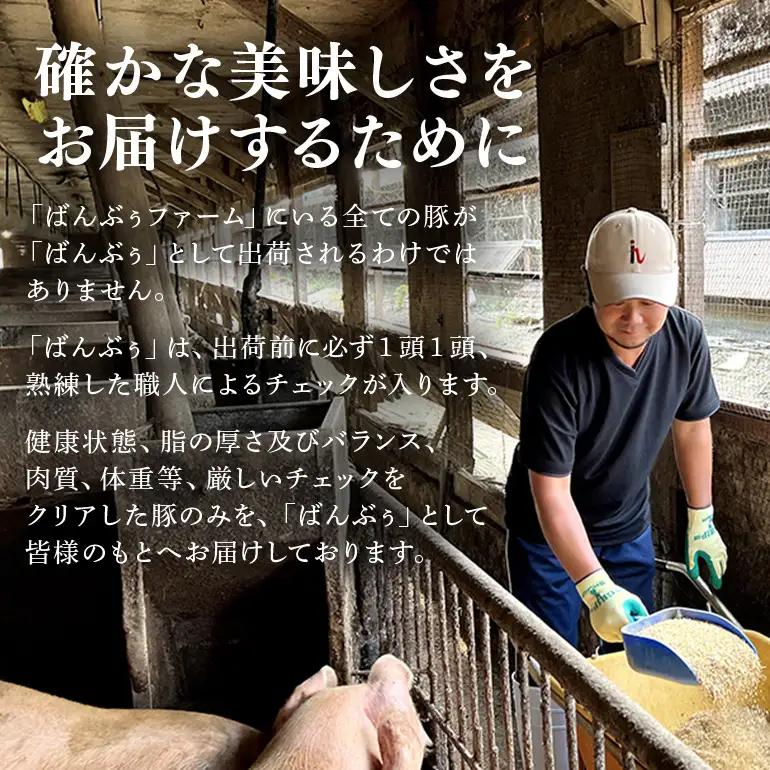 【定期便12ヶ月】ブランド豚「ばんぶぅ」ブロック肉セット（計4kg） 42-CE